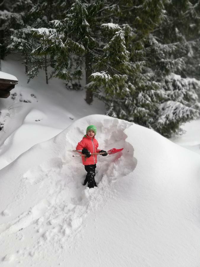 Alpenhaus Ganser-Dixit Mariazell Exterior foto